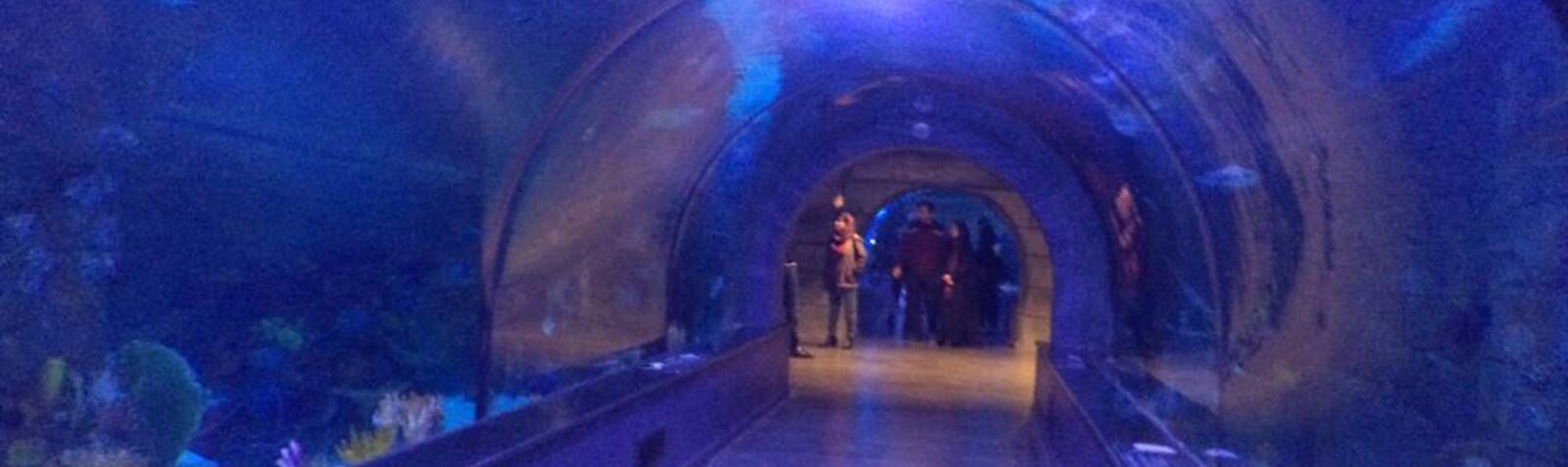 Grand Aquarium of Bandar Anzali